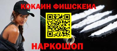 крисы Кулебаки