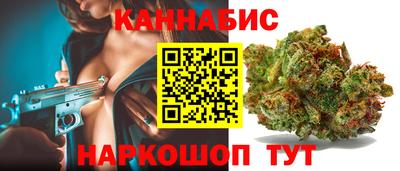 крисы Кулебаки