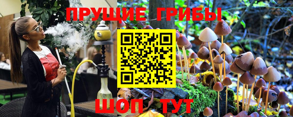 Галлюциногенные грибы GOLDEN TEACHER  Псилоцибиновые грибы Psilocybine cubensis  Вход с VPN  Дзержинск 
