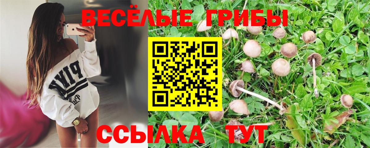 Псилоцибиновые грибы мицелий Дзержинск